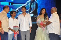 Spyder Movie Pre Release Function Group Photos